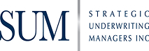 Logo 13
